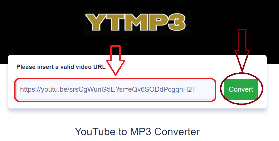 Paste the Link into the Search Bar