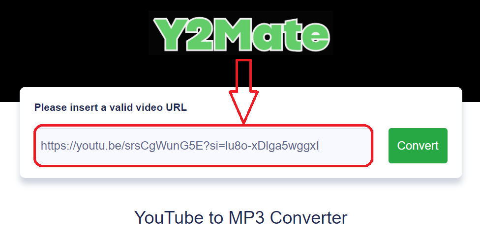 Paste the Link into Y2mate